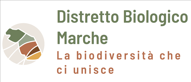 “Mille volte bio”, raggiunta quota mille preadesioni al Distretto biologico unico delle Marche. Il vicepresidente Carloni: “Brand forte e riconoscibile”