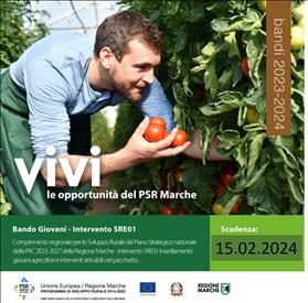 CSR Marche 23-27: Bando SRE01 “Insediamento giovani agricoltori” – proroga presentazione domande di sostegno