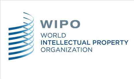 Stage a Ginevra al World Intellectual Property Organization