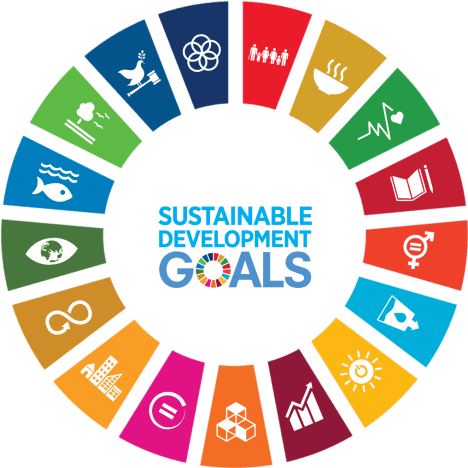 Loghi Goals Sviluppo Sostenibile Agenda 2030